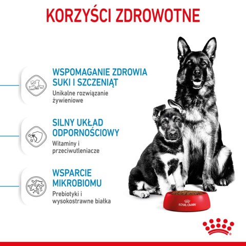 ROYAL CANIN Maxi Starter Mother & Babydog 15kg