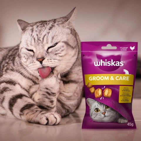 Whiskas Zdrowy Blask Przysmak Dla Kota Z Kurczakiem 45g