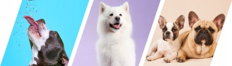 2Dog Mini kiełbaski KOŃ 160g