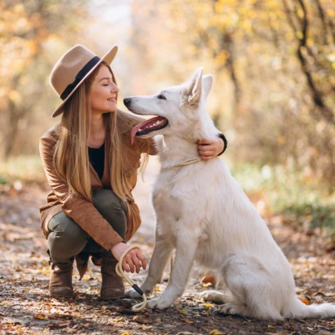 2Dog mokra karma konina z siemieniem 800g