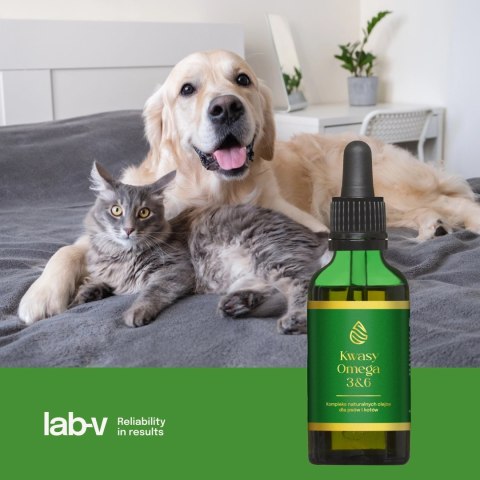 Lab-v Kwasy Tłuszczowe Omega 3 i 6 stosowane na ogólną poprawę stanu zdrowia oraz sierści i skóry dla psów i kotów 100ml