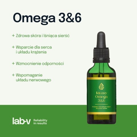Lab-v Kwasy Tłuszczowe Omega 3 i 6 stosowane na ogólną poprawę stanu zdrowia oraz sierści i skóry dla psów i kotów 100ml