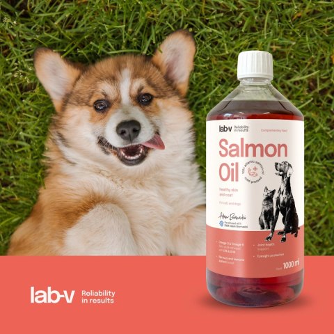 Lab-v Olej Z Łososia 100% Dla Psa i Kota 1000ml