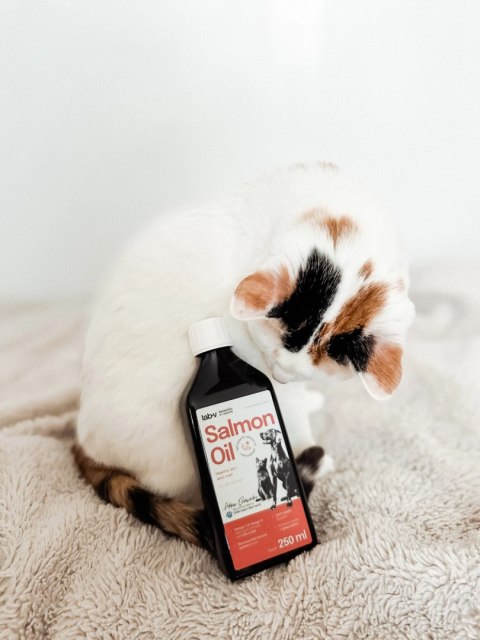 Lab-v Olej Z Łososia 100% Dla Psa i Kota 250ml