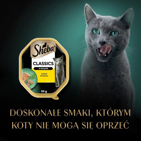 Sheba Classics Koktajl Drobiowy 85g