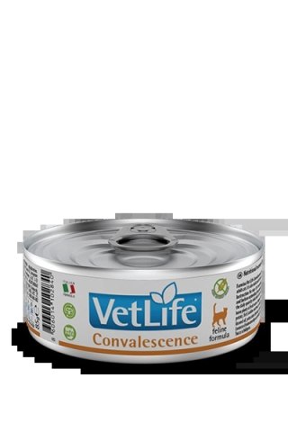 Farmina Vet Life Feline Convalescence 85g
