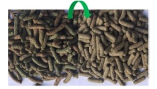 Versele-Laga Cuni Nature 9kg