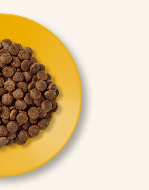 APPLAWS Complete Dry Adult Chicken 2kg