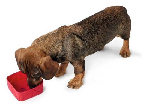 Hunter List Składana Silikonowa Miska Podróżna Beżowa 590ml