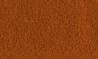 Tetra Betta Menu 100ml