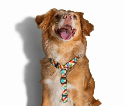 ZEE DOG Szelki H Phantom XS