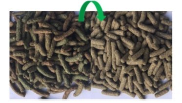 Versele-Laga Cuni Adult Complete Pokarm Dla Królików 500g