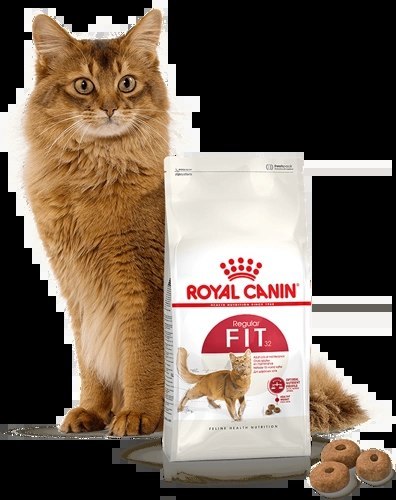 ROYAL CANIN Fit 32 2kg