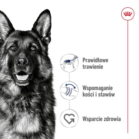ROYAL CANIN Maxi Adult 15kg