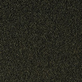 Tropical Super Spirulina Forte Mini Granulat 100ml