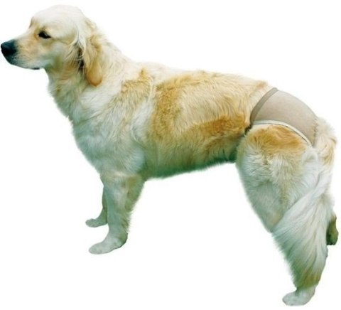 Trixie Majtki Ochronne Dla Suczki Rozmiar L