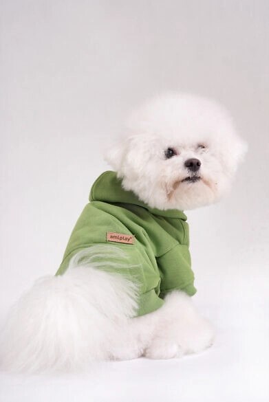 AMIPLAY Bluza Z Kapturem Texas Czerwona 35cm