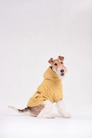 AMIPLAY Bluza Z Kapturem Texas Żółta 30cm