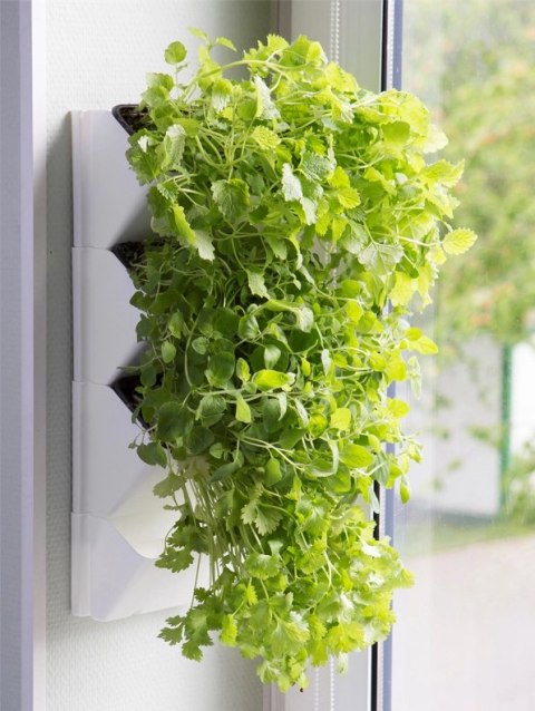 AQUAEL Versa Garden Herbs